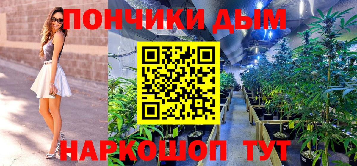 Шишки марихуана SATIVA & INDICA  Бошки марихуана THC 21%  Конопля THC 21%  Бошки Шишки сатива  Зима  Вход с VPN 